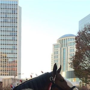 Meet your Posher, Alex